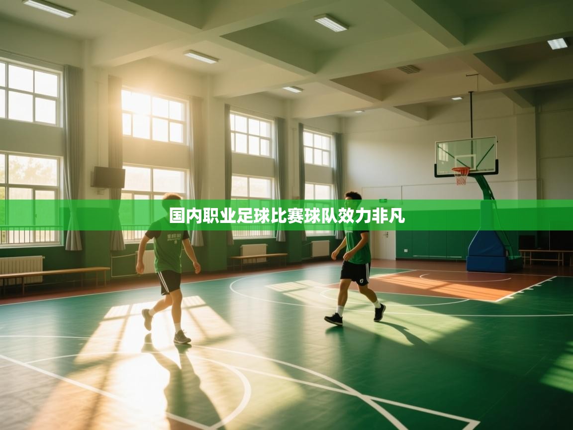 国内职业足球比赛球队效力非凡 第2张