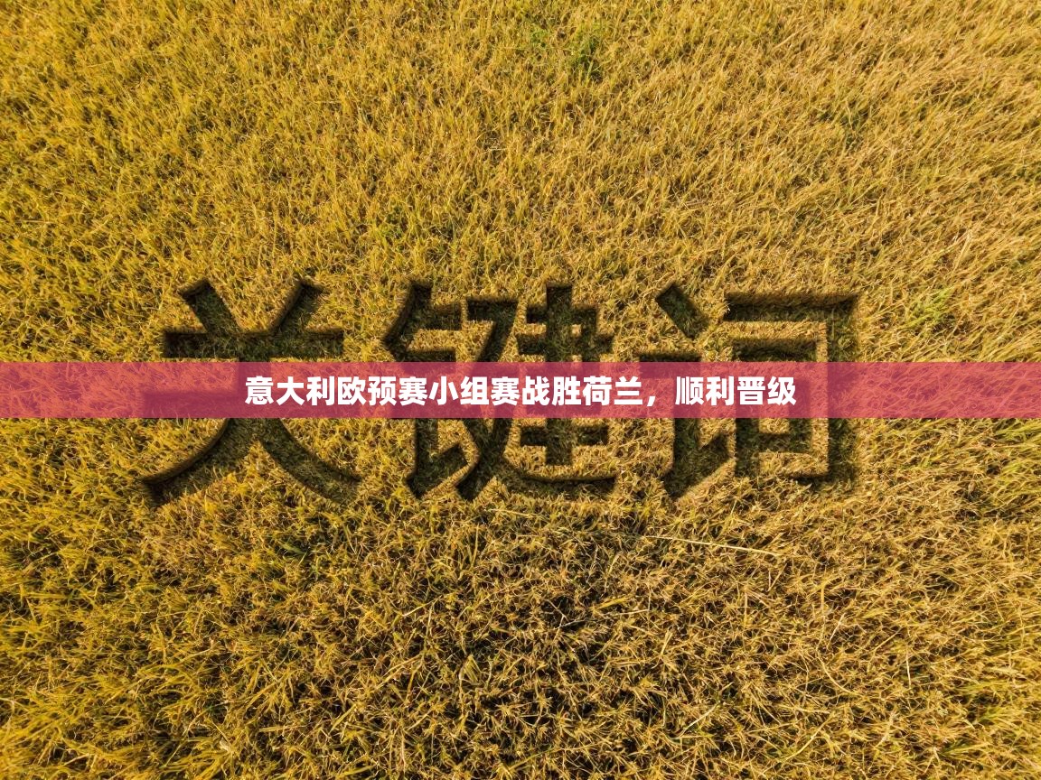 意大利欧预赛小组赛战胜荷兰,顺利晋级 第2张