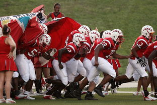 九游娱乐官方平台-国家队技战术水平提升瓶颈，国家技巧队